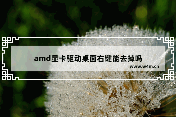 amd显卡驱动桌面右键能去掉吗