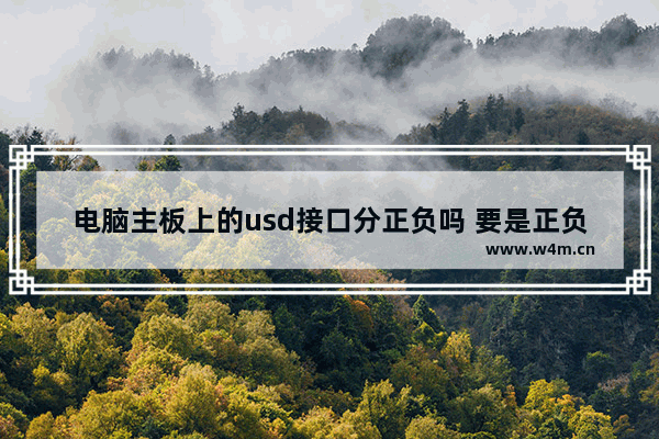 电脑主板上的usd接口分正负吗 要是正负插错了 主板会不会有问题呢 会烧掉主板吗