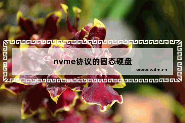 nvme协议的固态硬盘