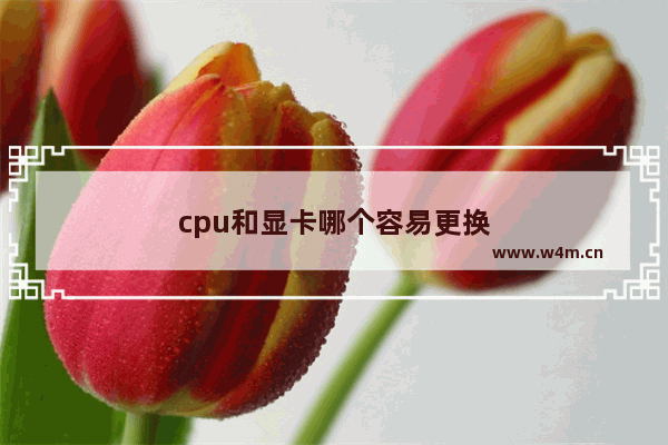 cpu和显卡哪个容易更换