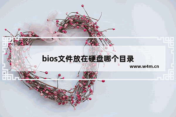 bios文件放在硬盘哪个目录