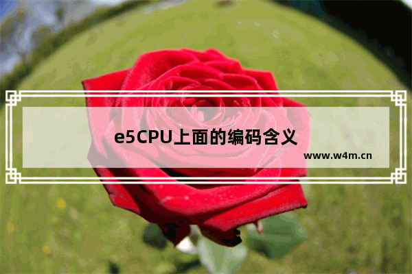 e5CPU上面的编码含义