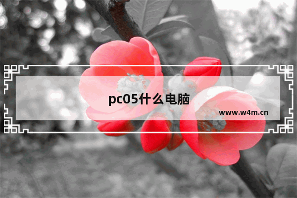 pc05什么电脑