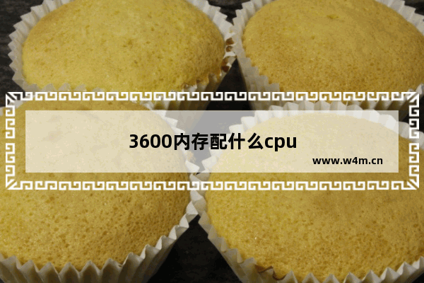 3600内存配什么cpu