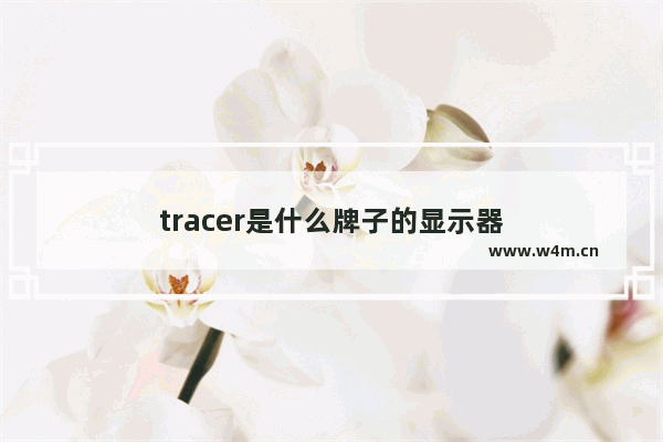 tracer是什么牌子的显示器