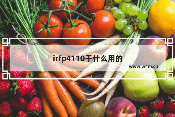 irfp4110干什么用的