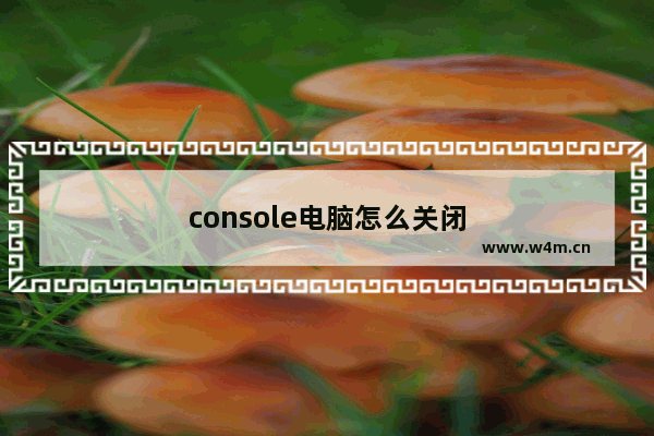 console电脑怎么关闭