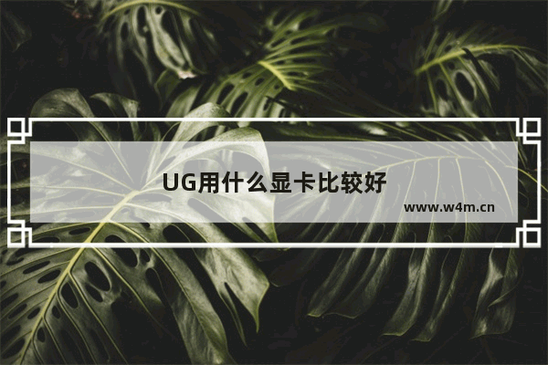 UG用什么显卡比较好