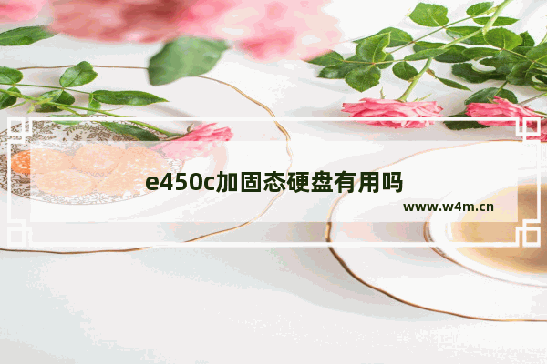 e450c加固态硬盘有用吗