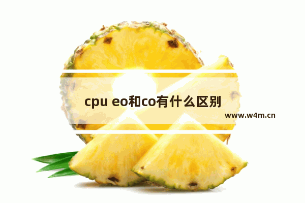 cpu eo和co有什么区别