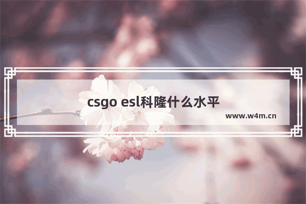 csgo esl科隆什么水平