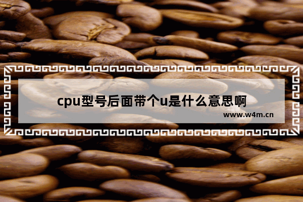 cpu型号后面带个u是什么意思啊