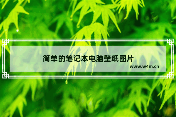 简单的笔记本电脑壁纸图片