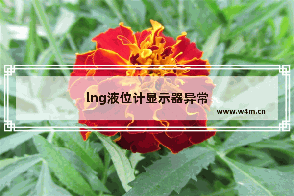 lng液位计显示器异常