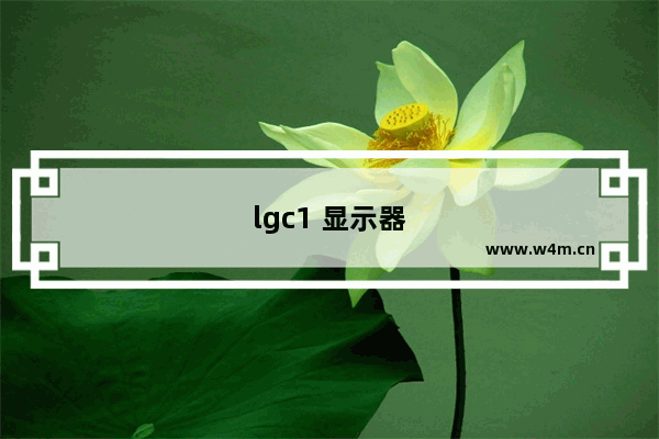 lgc1 显示器