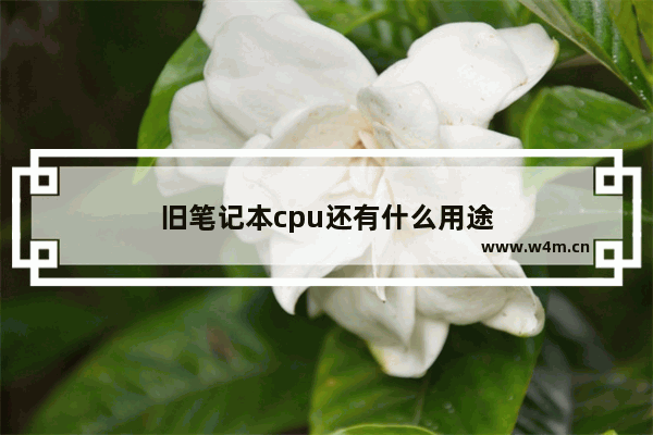 旧笔记本cpu还有什么用途