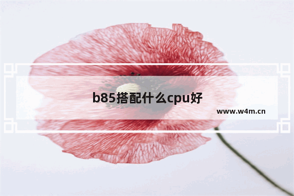 b85搭配什么cpu好