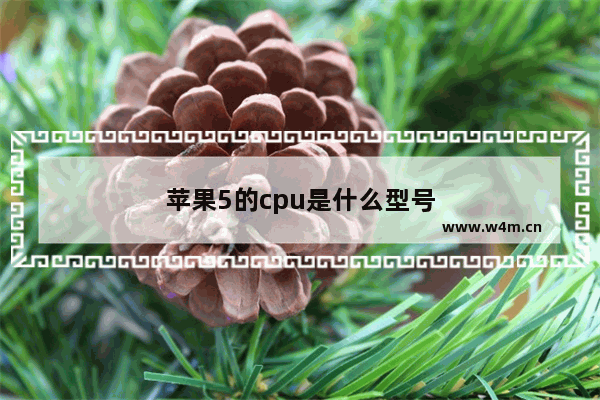 苹果5的cpu是什么型号