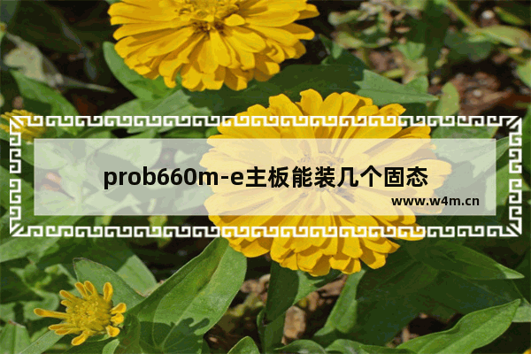 prob660m-e主板能装几个固态