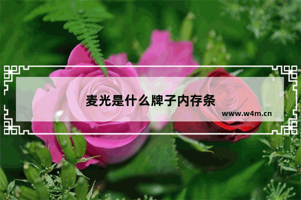 麦光是什么牌子内存条