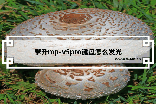 攀升mp-v5pro键盘怎么发光