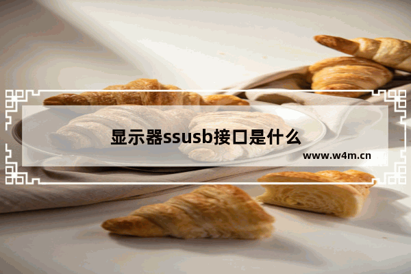 显示器ssusb接口是什么