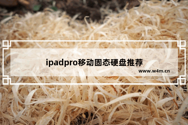 ipadpro移动固态硬盘推荐