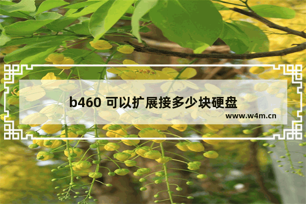 b460 可以扩展接多少块硬盘