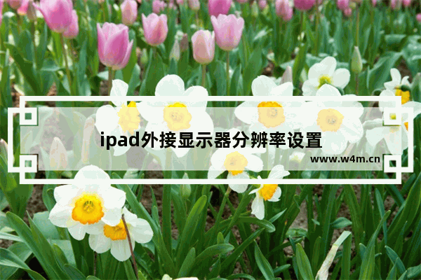 ipad外接显示器分辨率设置