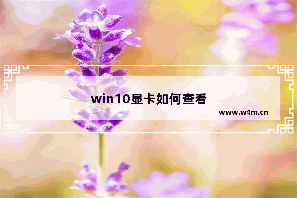 win10显卡如何查看