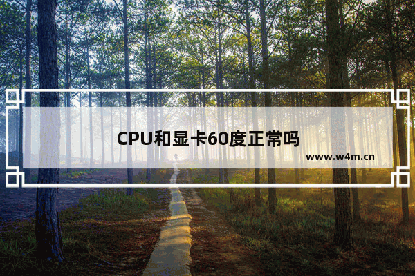 CPU和显卡60度正常吗