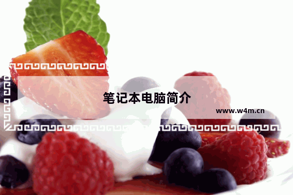 笔记本电脑简介