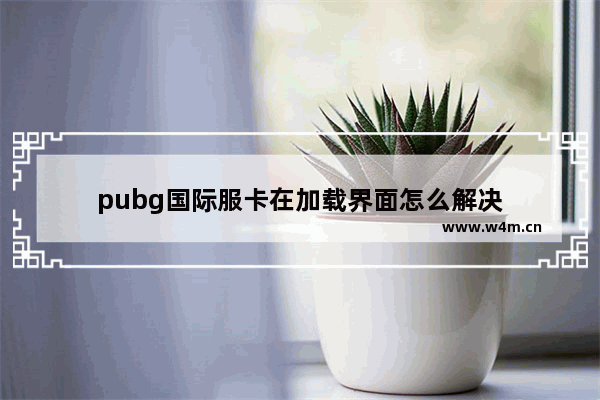 pubg国际服卡在加载界面怎么解决