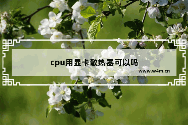 cpu用显卡散热器可以吗