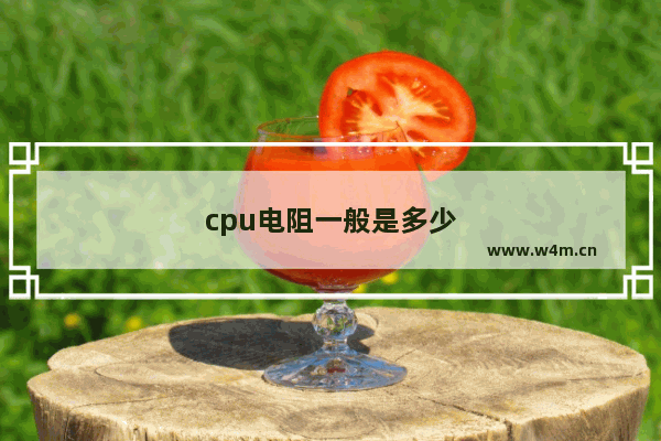 cpu电阻一般是多少