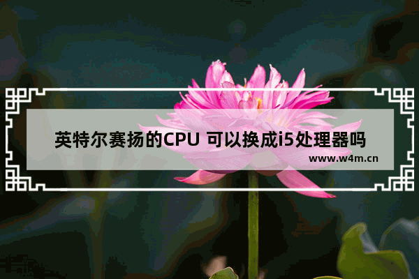 英特尔赛扬的CPU 可以换成i5处理器吗