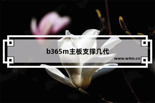 b365m主板支撑几代