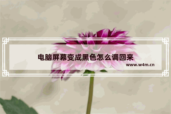 电脑屏幕变成黑色怎么调回来