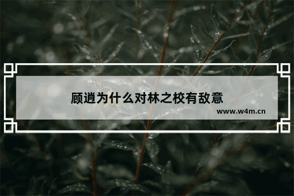 顾逍为什么对林之校有敌意