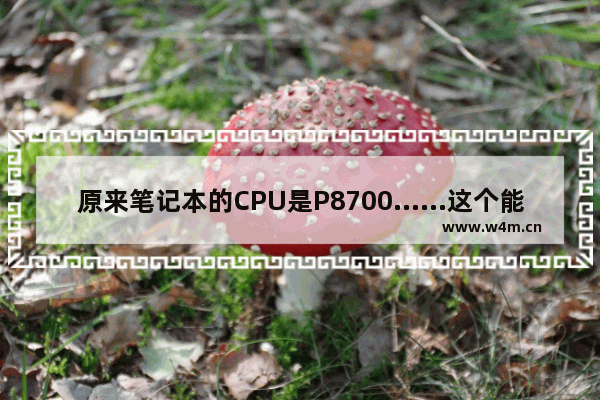 原来笔记本的CPU是P8700……这个能换什么新的CPU吗