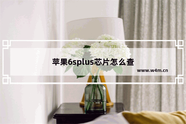 苹果6splus芯片怎么查