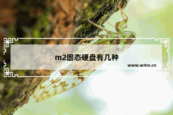 m2固态硬盘有几种