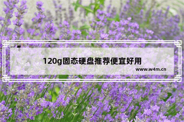 120g固态硬盘推荐便宜好用