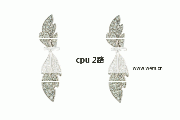 cpu 2路