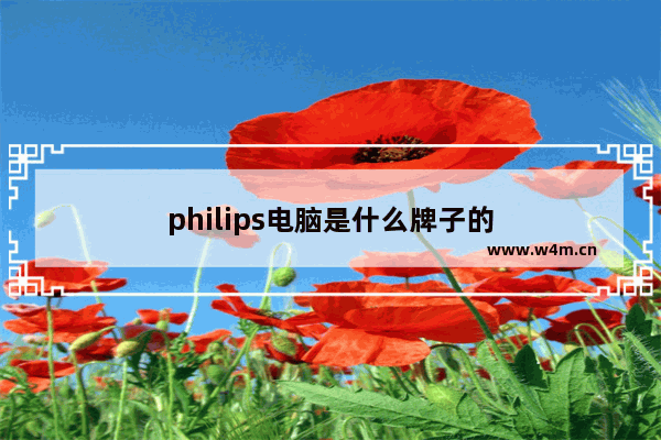 philips电脑是什么牌子的