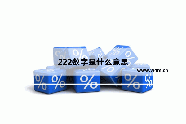 222数字是什么意思