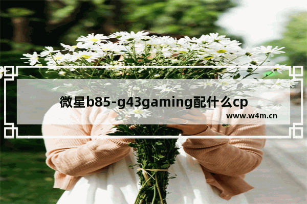 微星b85-g43gaming配什么cpu