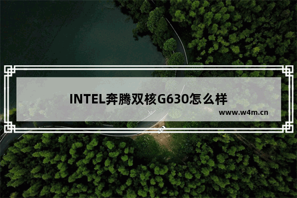 INTEL奔腾双核G630怎么样