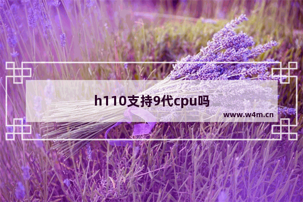 h110支持9代cpu吗