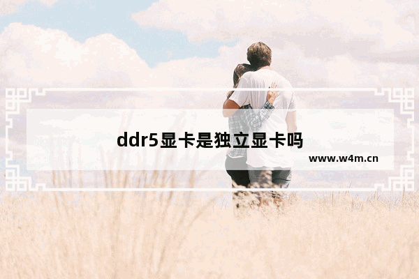 ddr5显卡是独立显卡吗